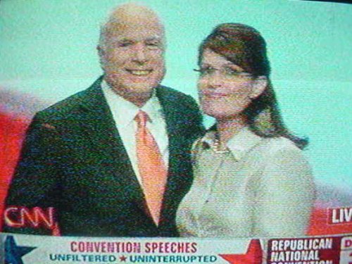 John McCain, Sarah Palin