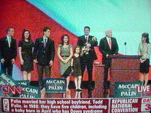 The Palins