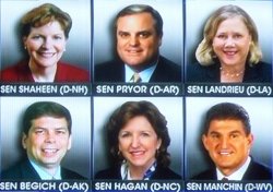 Six Democrat senators