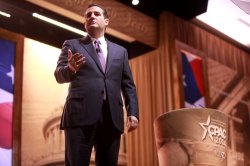 Senator Ted Cruz