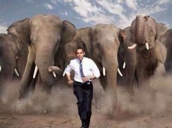 Obama chased by Republicans
