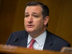 Senator Ted Cruz (R) of Texas