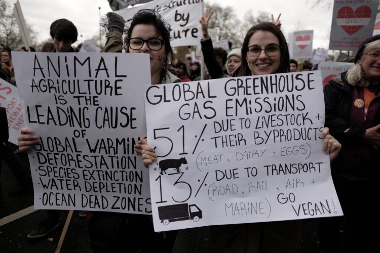 March for Science signs on Earth Day