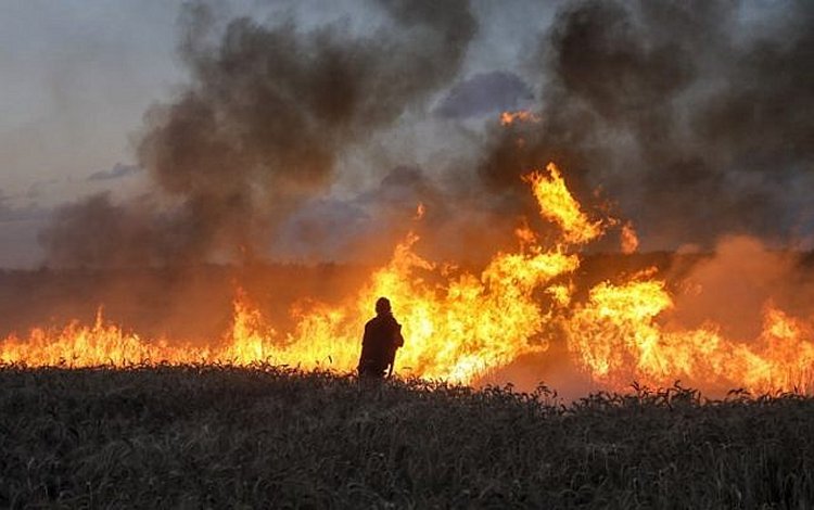 Israeli firefighters attempt to extinguish a fire in a wheat field near the Kibbutz of Nahal Oz, along the border with the Gaza strip, on May 8, 2018, after it was caused by incendiaries tied to kites flown by Palestinian protesters from across the border. (AFP/Menahem Kahana)