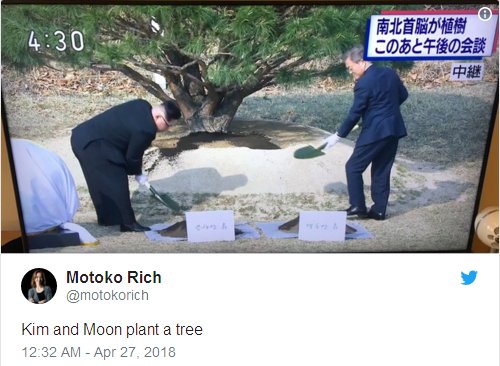 Kim and Moon plant a tree.