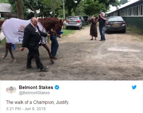 The walk of a Champion, Justify.