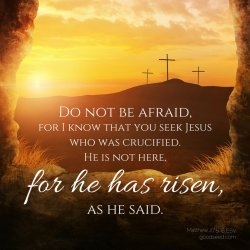 He is not here. He has risen! Luke 24:6