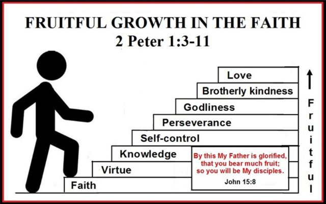 Fruitful Growth in the Faith