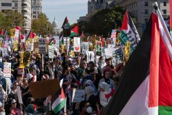 Pro-Palestinian protesters in DC
