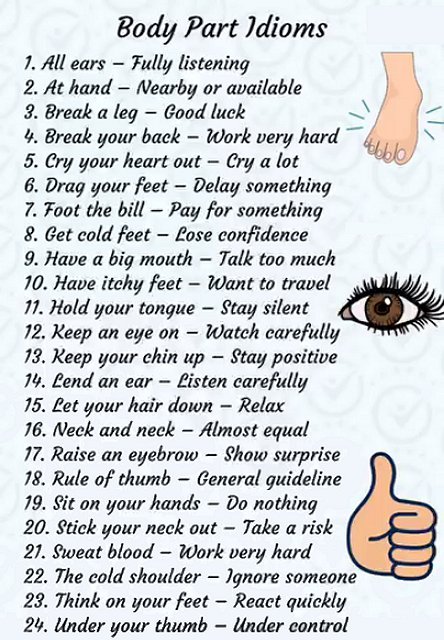 Body part idioms