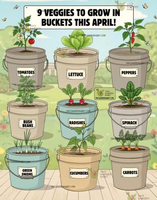 9 veggies to grow in April