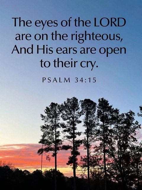 The eyes and ears of the Lord