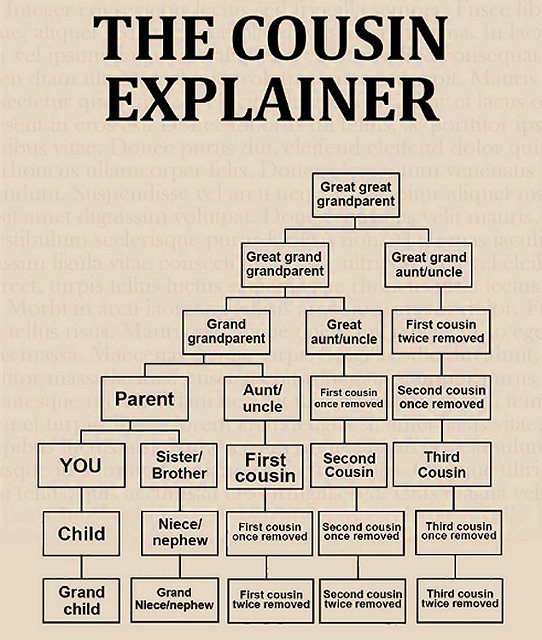 Cousin explainer