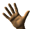 Hand Wave 1: 80 x 60