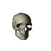 Skull 2: 100 x 100