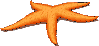 Starfish: 99 x 46
