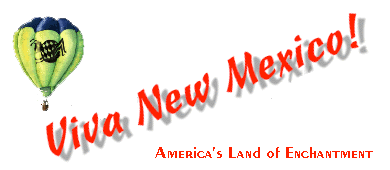 Viva New Mexico: 390 x 170