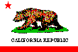 California State Flag: 110 x 73