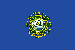 New Hampshire State Flag: 110 x 73