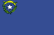 Nevada State Flag: 110 x 73