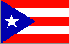 Puerto Rico Territorial Flag: 100 x 64