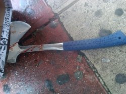 Zale Thompson's bloody hatchet
