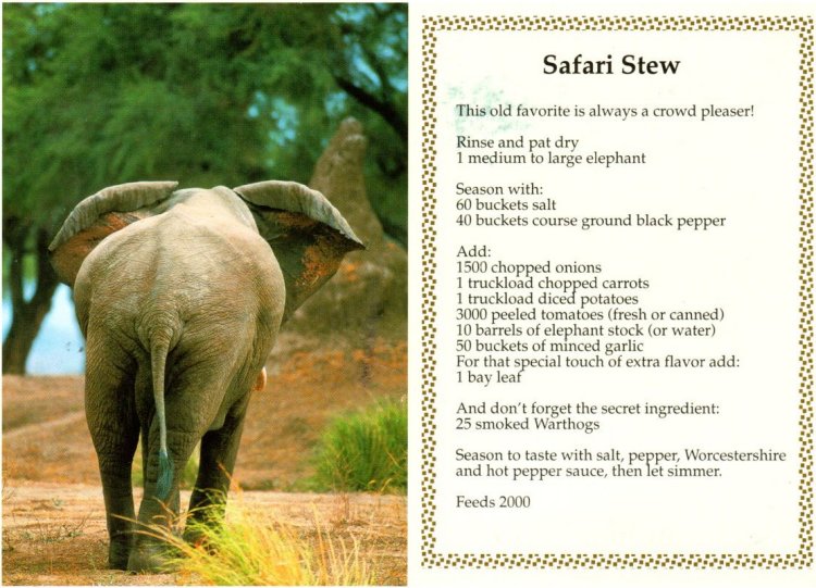 Safari Stew