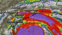 Center of Tropical Storm Harvey back in the Gulf of Mexico