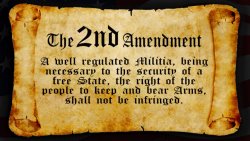 Second Amendment to the U.S. Constitution