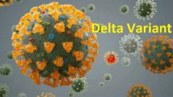 Delta variant of COVID virus