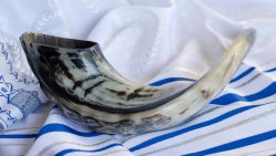 shofar or ram's horn