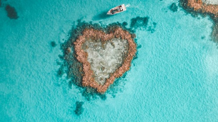 Heart Reef Australia