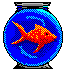 Goldfish: 65 x 71